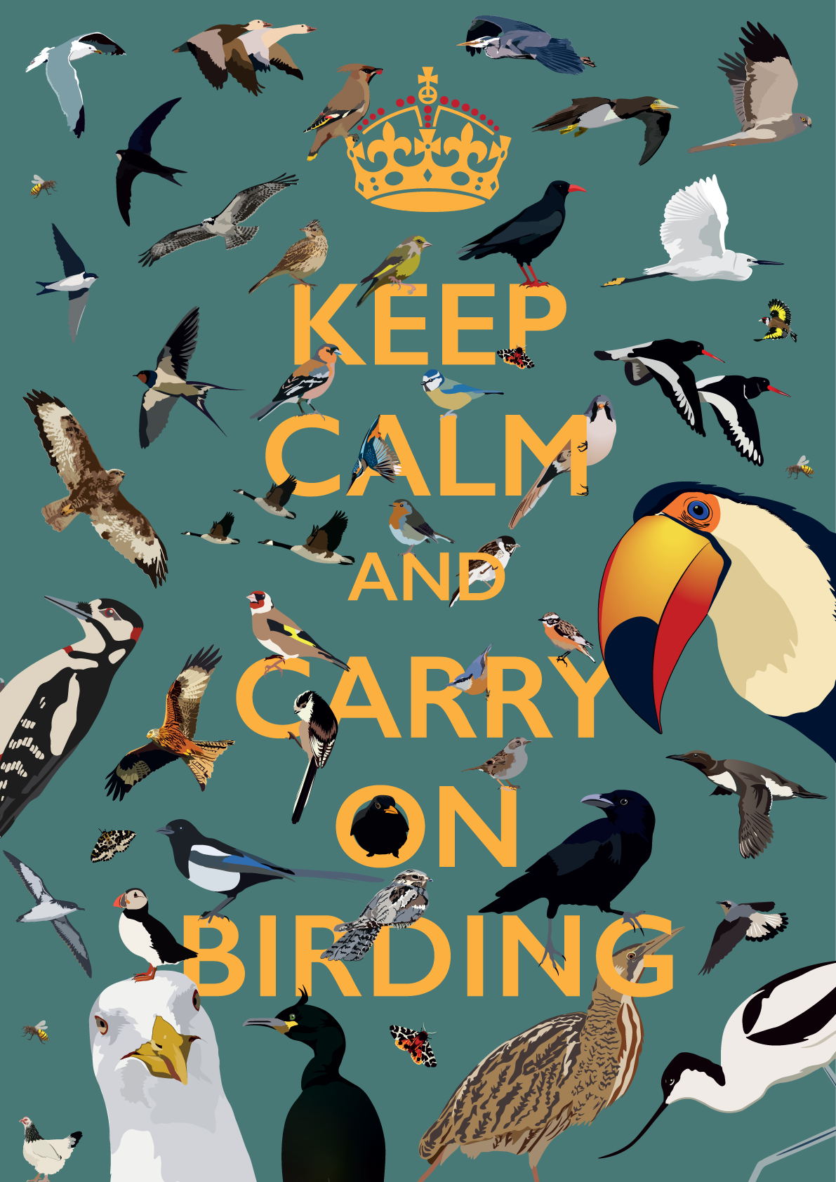 Keep Calm and Carry On Birding Poster