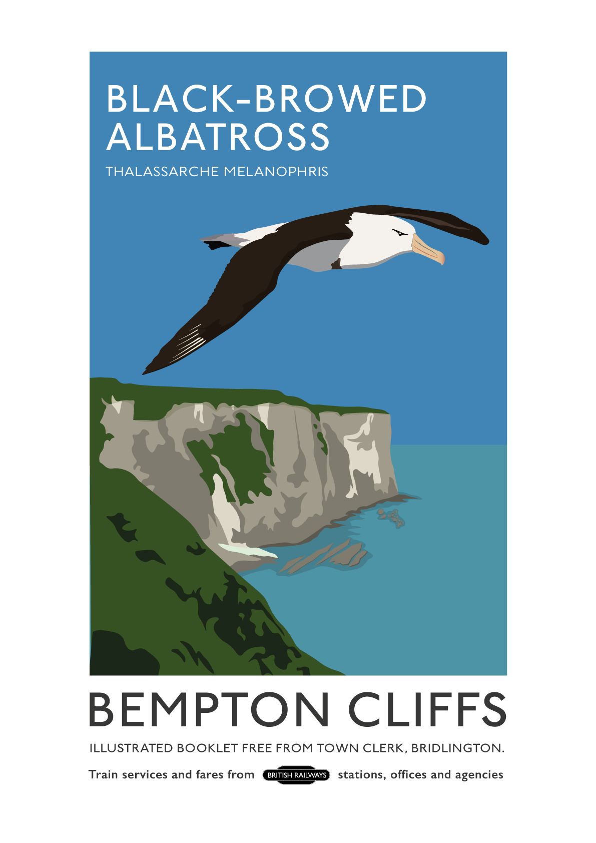 RSPB Bempton Cliffs Black-Browed Albatross Poster