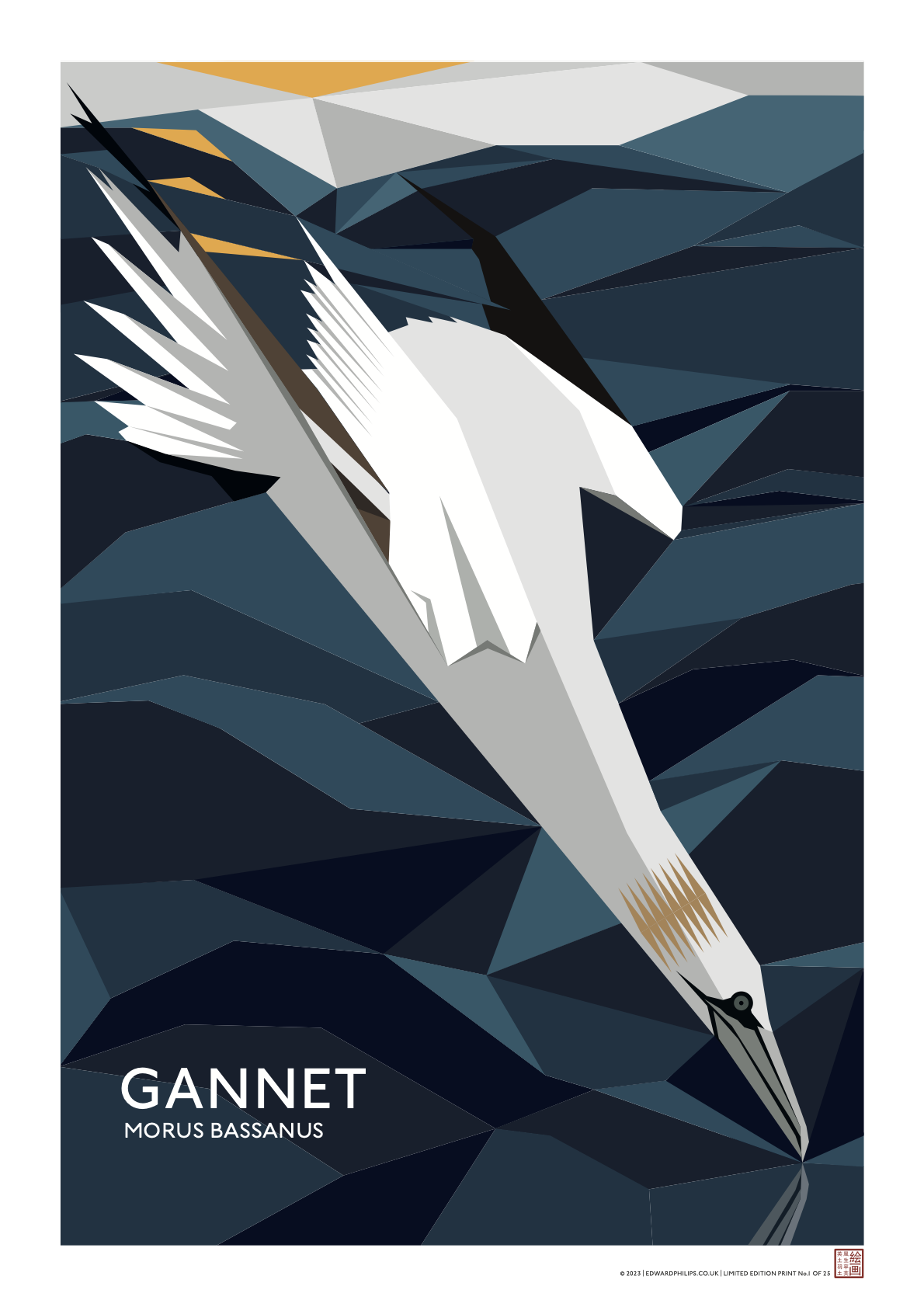 Gannet Poster