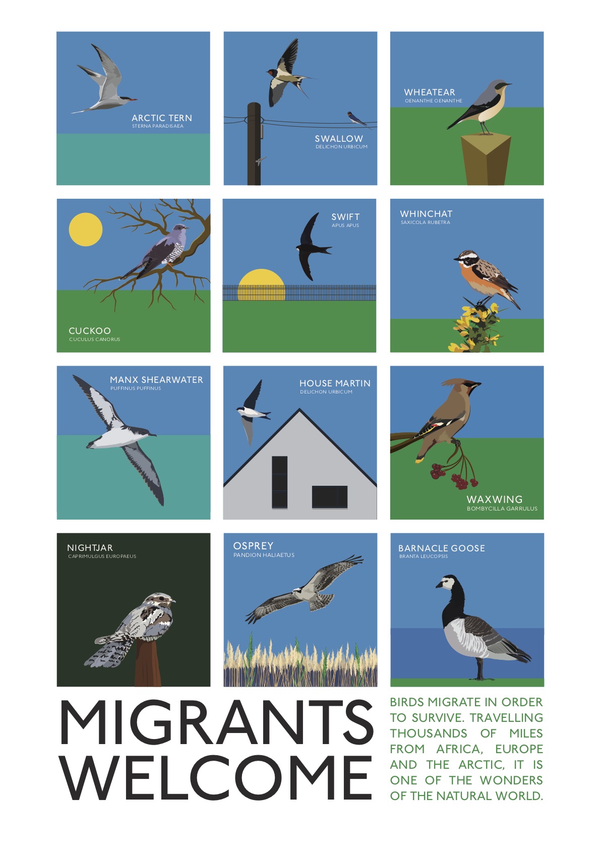 UK Birds Immigrants Welcome Poster