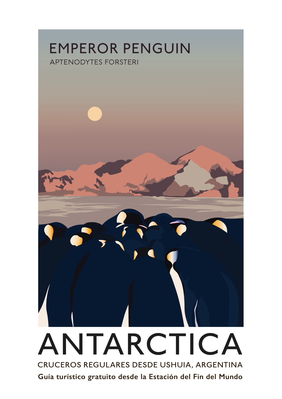 ANTARCTIC PENGUINS Argentina Poster