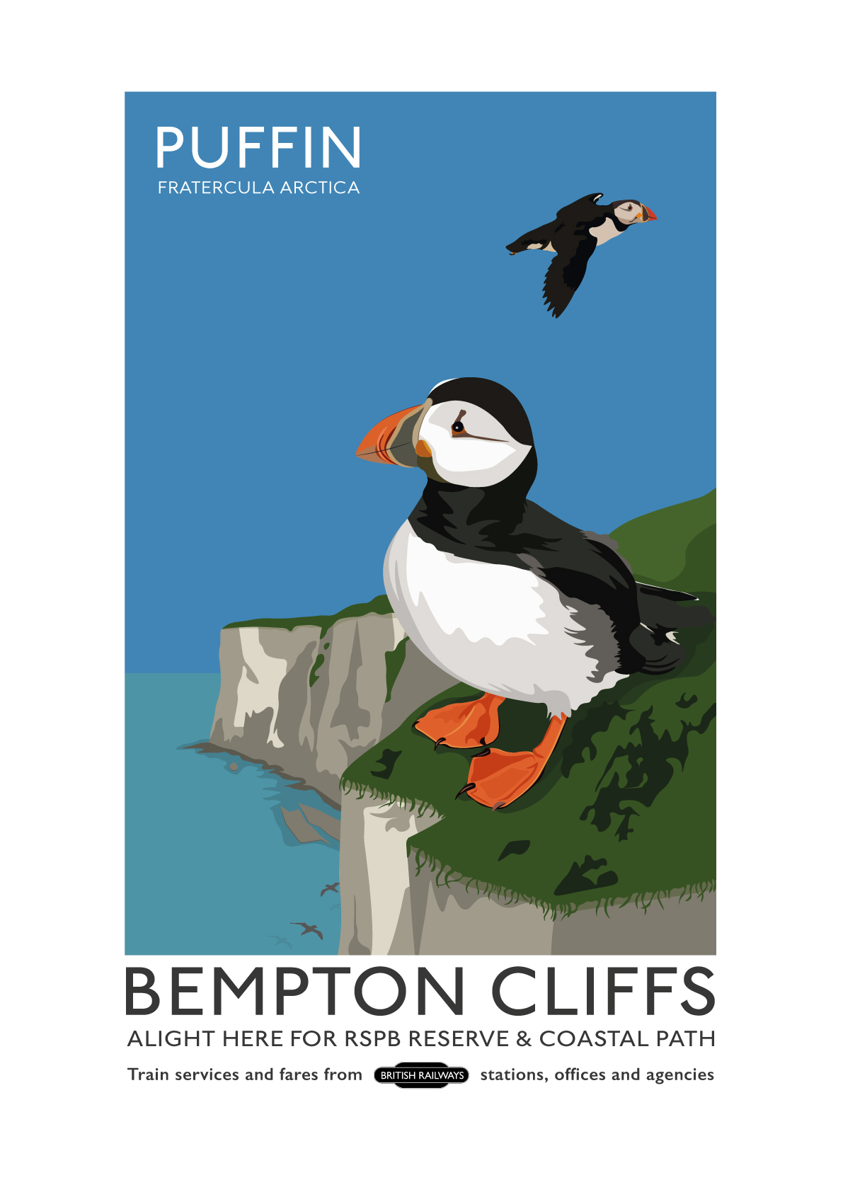 RSPB Bempton Cliffs Puffin Poster