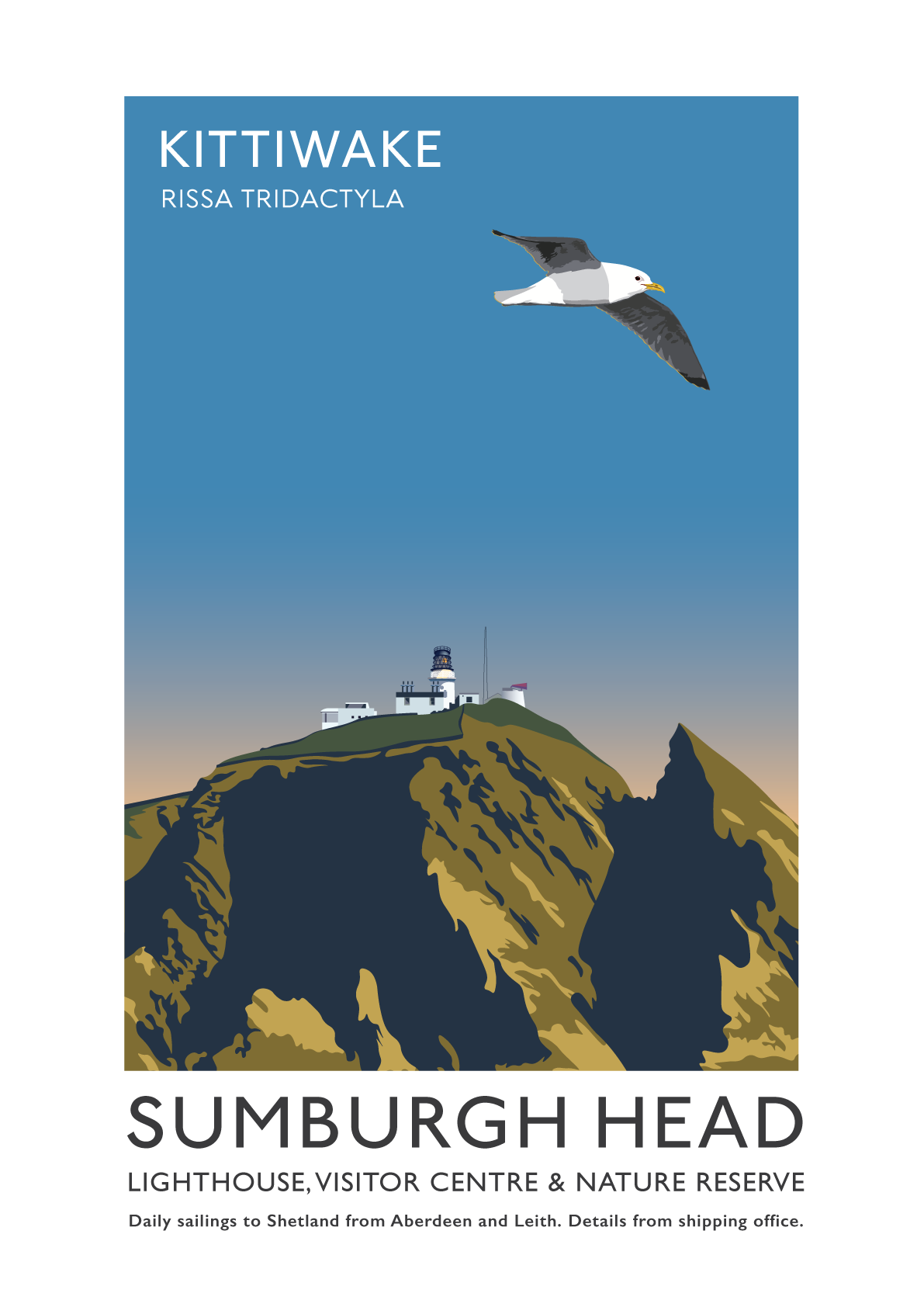 Sumburgh Head Kittiwake Poster